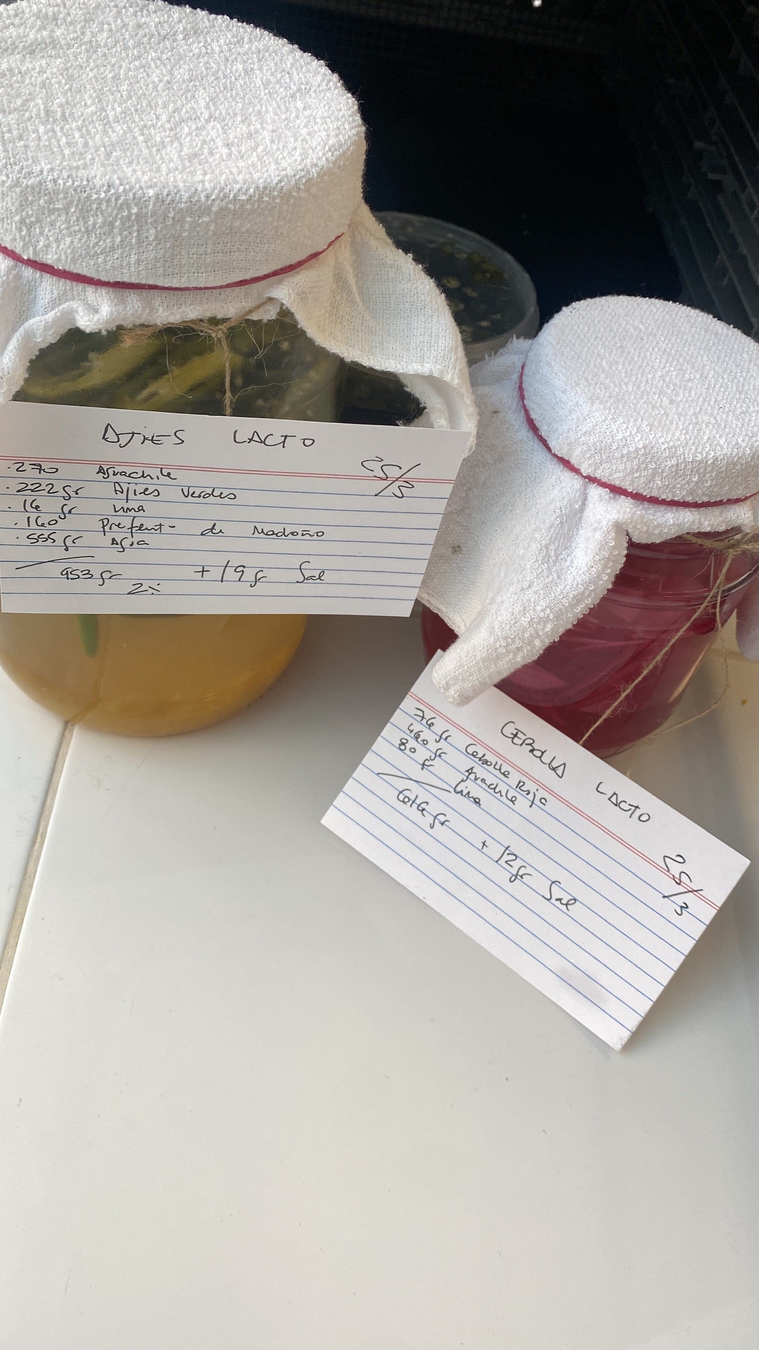 Ferments 101 con Irene Haedo