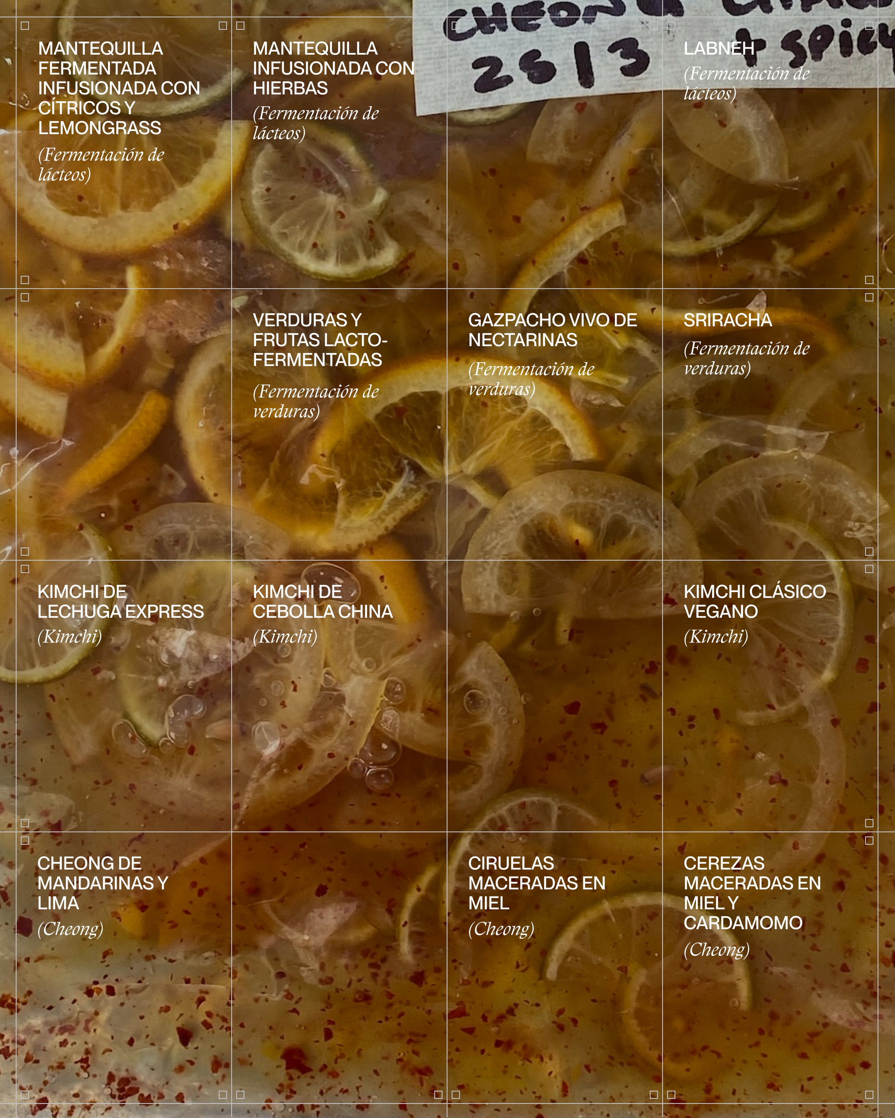 Ferments 101 con Irene Haedo